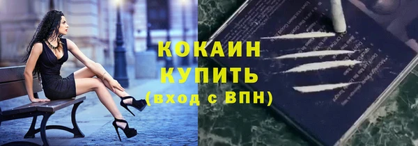 кокс Алексин